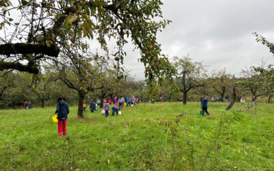 Vom Apfel zum Saft – unser Apfelprojekt der zweiten Klassen